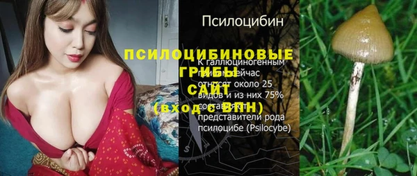 круглые Алексеевка