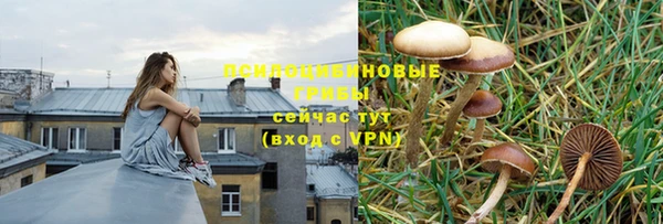круглые Алексеевка